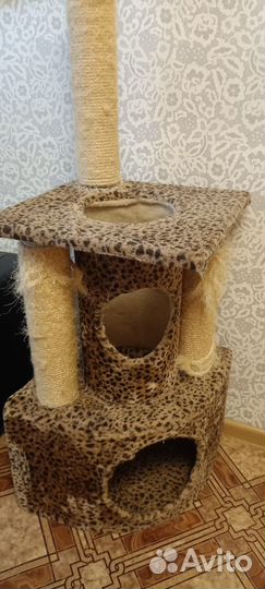 Когтеточка домик для кошки бу