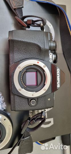 Беззеркальный фотоаппарат Olympus om dem10 markiii