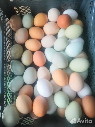 Молочные продукты