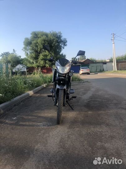 Alpha rs 13 champ 125