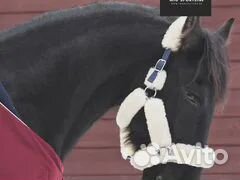 Недоуздок для лошади натуральный мех Соб