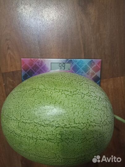 Семена арбуза Рафинад