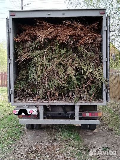 Вывоз мусора с грузчиками