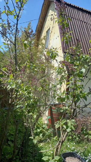 Дом 40 м² на участке 10 сот.