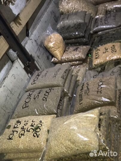 Зерно фуражное 5 кг