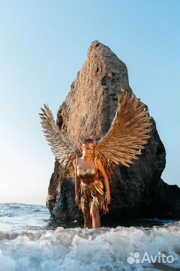 Прокат Крыльев