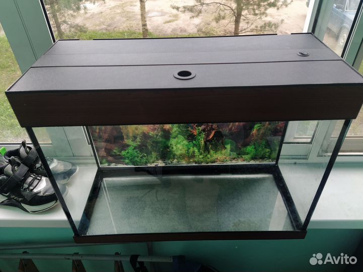 Аквариум 60л