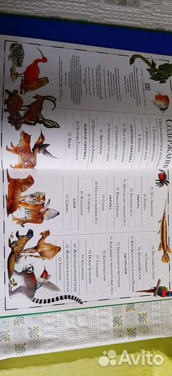 Атлас животного мира Дорлинг Киндерсли