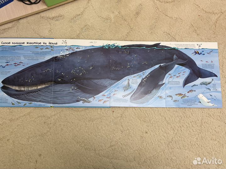 Большая книга о животных