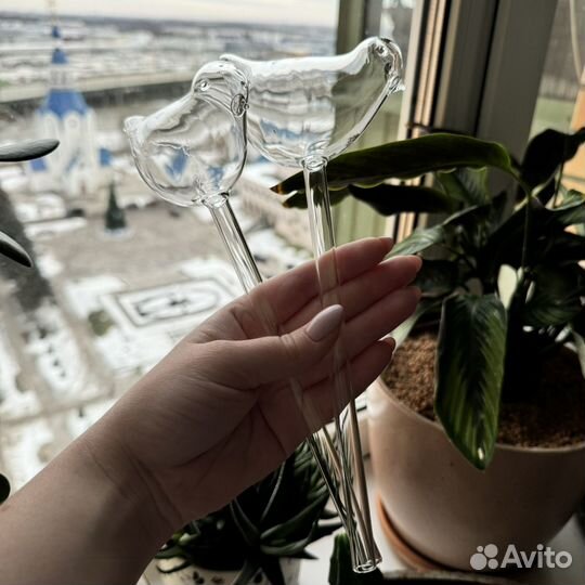 Автополив для комнатных растений