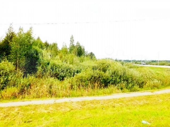 Участок 1,5 га (промназначения)