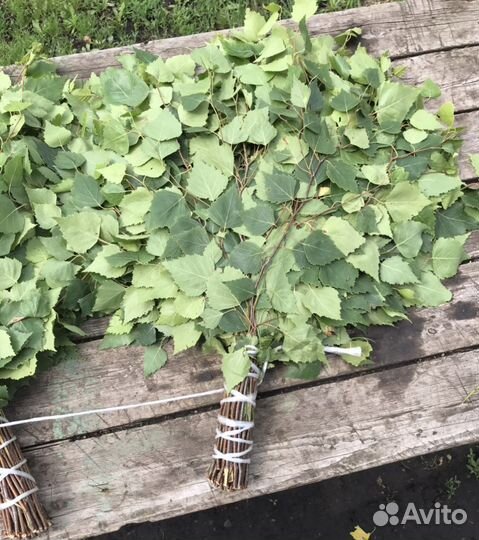 Березовые веники