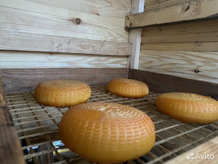 Козье молоко