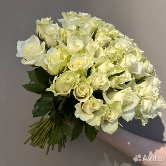 51 роза. Розы 40 см. Букеты. Доставка Калининград