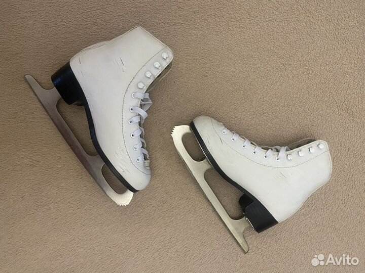 Коньки nordway bella р 37