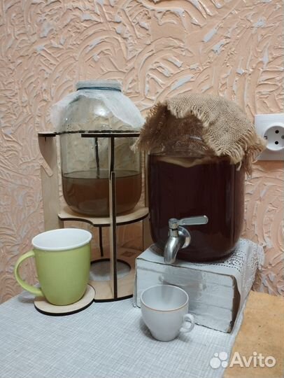 Чайный гриб комбуча