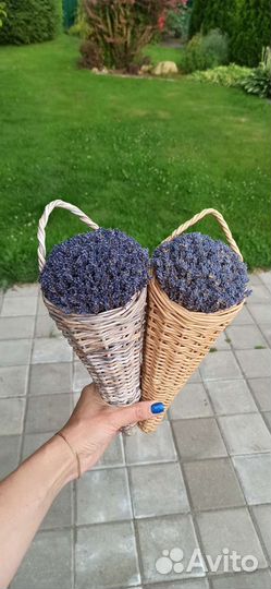 Лаванда сухоцветы