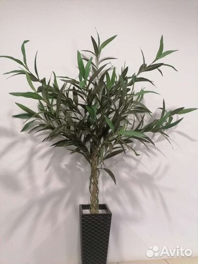 Искусственные деревья/ Эвкалипт