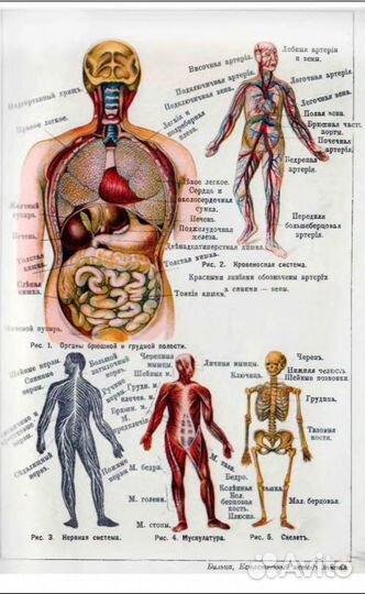 Старинные книги по Медицине и Психологии