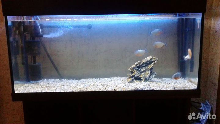 Аквариум с тумбой на 300 литров