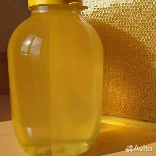 Мед майский