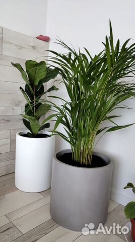 Бетонные цветочные горшки