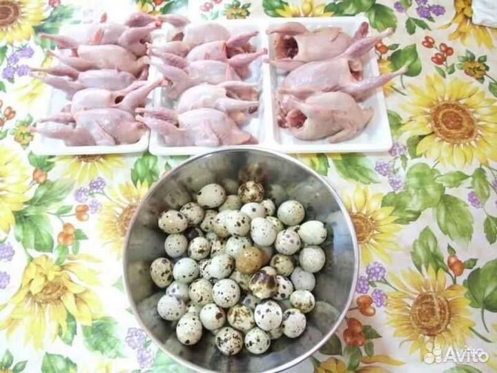 Перепелин яйцо,мясо:индейки,бройлера,утки,перепела