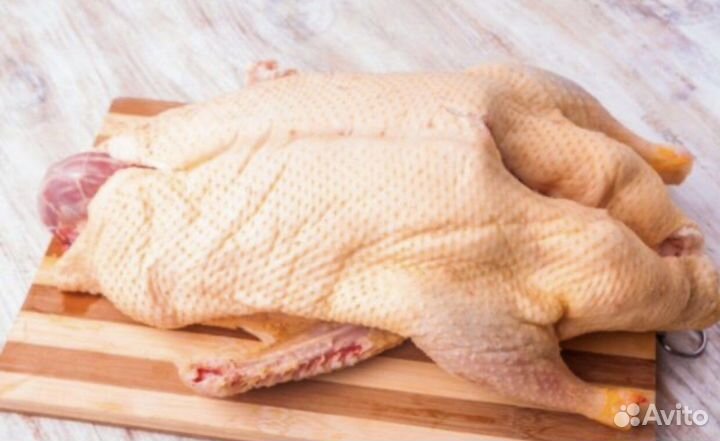 Домашнее мясо гуся