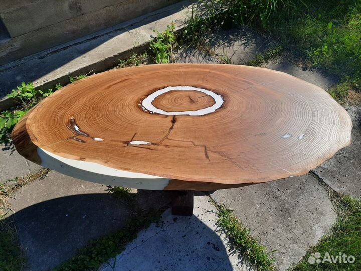 Поперечный спил дуба