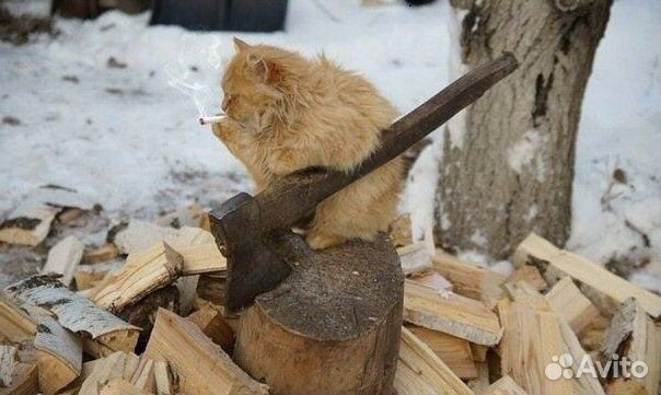 Проф помощь в покупке дома, оценка состояния