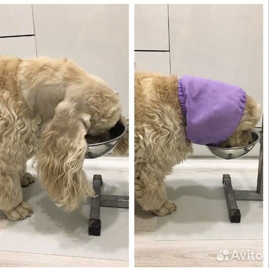 Шапочка/снуд для собаки