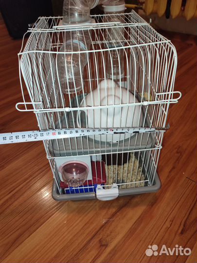Клетка с хомяком