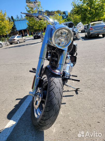 Harley-davidson fet boy