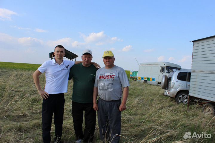 Мёд Донниковый - гост, своя пасека, смотрите отзыв