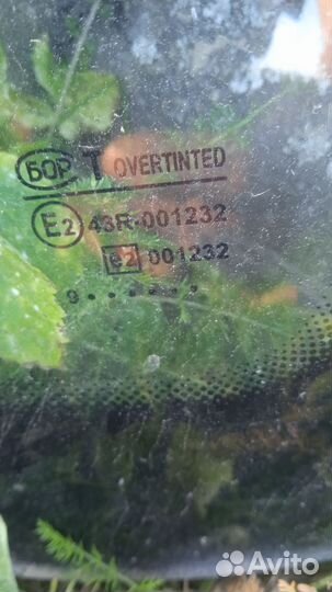 Стекла приора