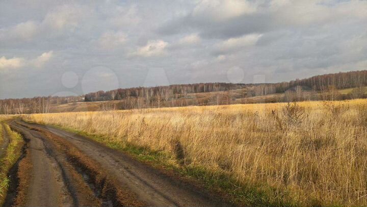 Участок 45 сот. (СНТ, ДНП)