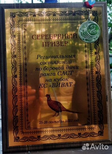 Натаска легавых собак