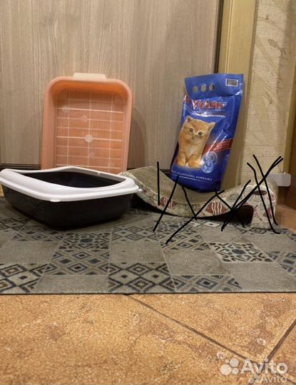 Набор для котенка