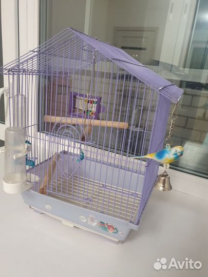 Клетка для волнистого попугая