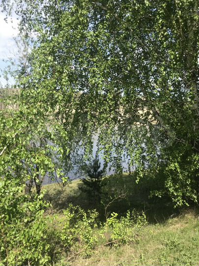 Участок 13 сот. (СНТ, ДНП)