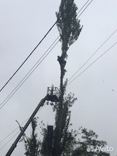 Асфальтирование благоустройства