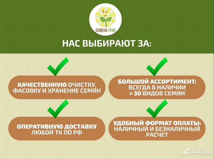 Семена газонной травы (Дания) playground