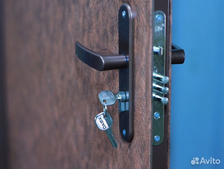 Дверь входная металлическая