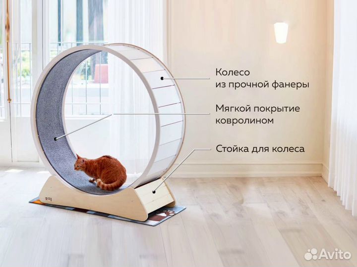Беговое колесо для кошки