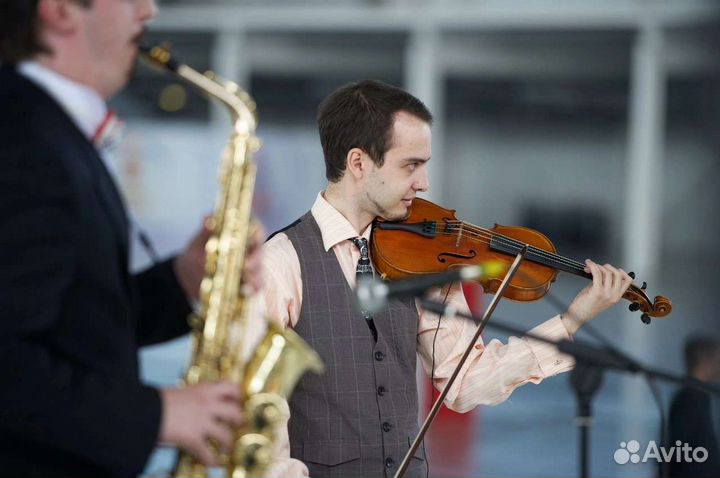 Живая музыка, скрипка