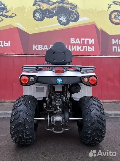 Квадроцикл promax renegade 300