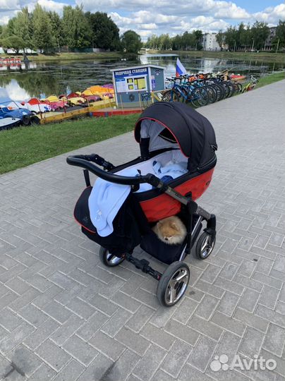 Коляска 2 в 1 adamex chantal