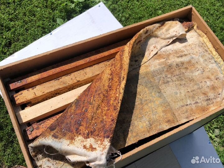 Ловушки для роев