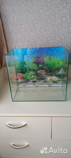 Аквариум и всё к нему