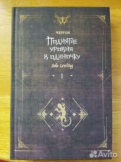 Поднятие уровня в одиночку, 1 книга